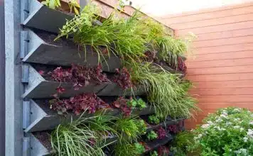 Comment fixer un mur végétal ?