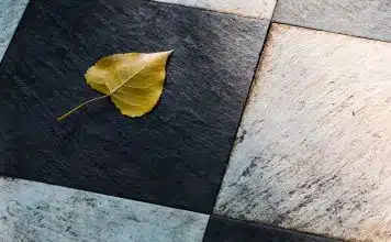 Guide pour bien choisir la taille de son carrelage