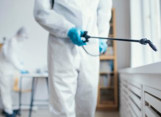 Solutions de dératisation durables pour protéger votre habitat à Le Revest-les-Eaux