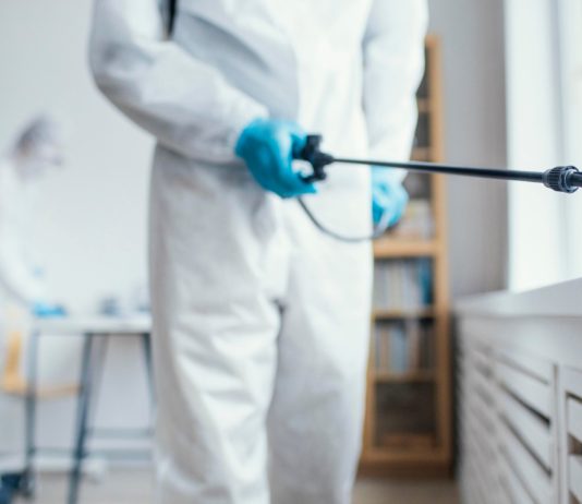 Solutions de dératisation durables pour protéger votre habitat à Le Revest-les-Eaux